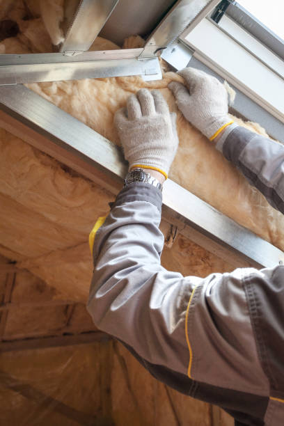 Attic Insulation Near Me in Eutaw, AL